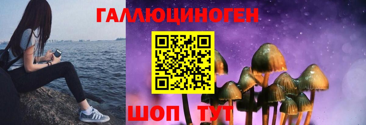 Псилоцибиновые грибы прущие грибы Муравленко